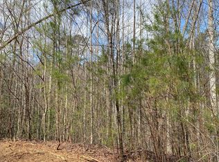 1 Cohutta Overlook Dr #II, Blue Ridge, GA 30513