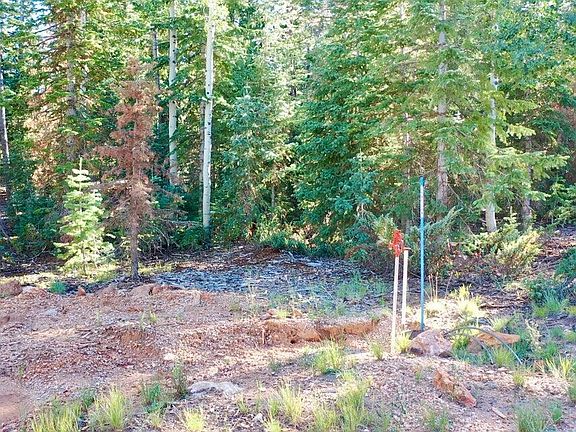 2nd image of 1 E Duck Creek Ridge Rd