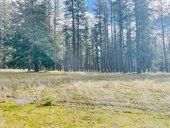 5th image of Orchard Heights Rd Lot 1