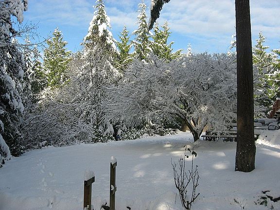 Winter Bliss