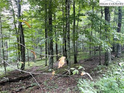 211 Sawmill Branch Road, Banner Elk, NC, 28604