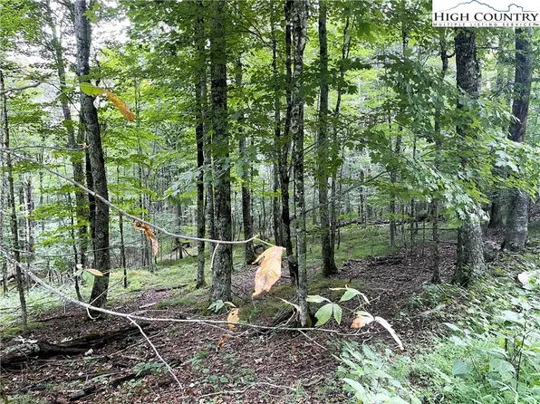 211 Sawmill Branch Road, Beech Mountain, NC 28604