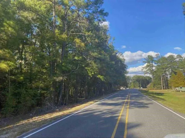 24075 Blood River Rd, Springfield, LA 70462