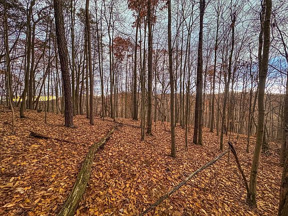 27th image of this home