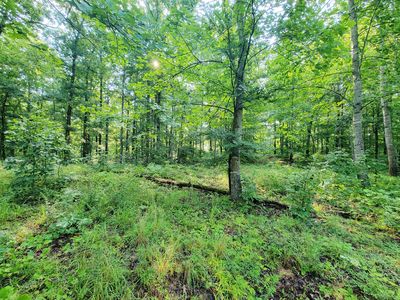 0 Ridgewood Dr Lot 100, Mc Ewen, TN, 37101