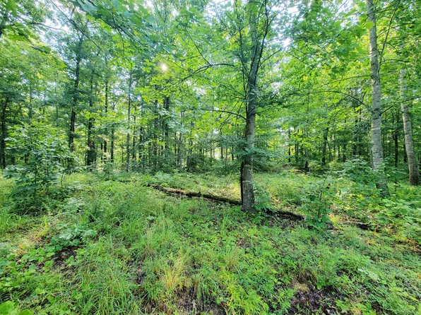 0 Ridgewood Dr Lot 100, Mc Ewen, TN 37101