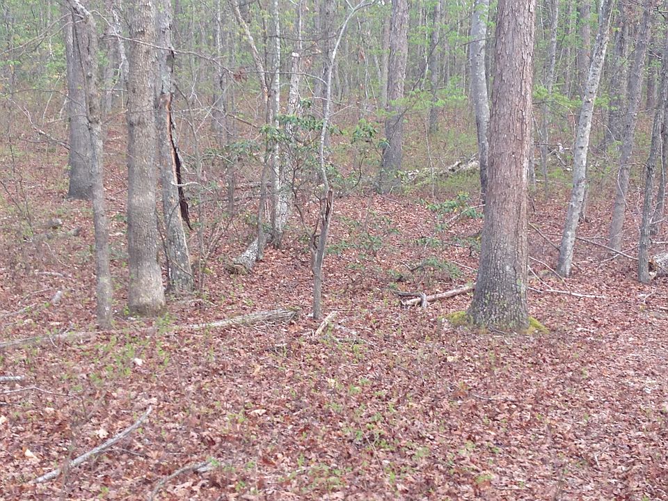 1st image of 664 Sycamore Creek Rd