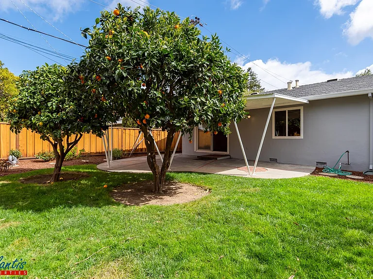 807 Mulberry Ln — Photo 8