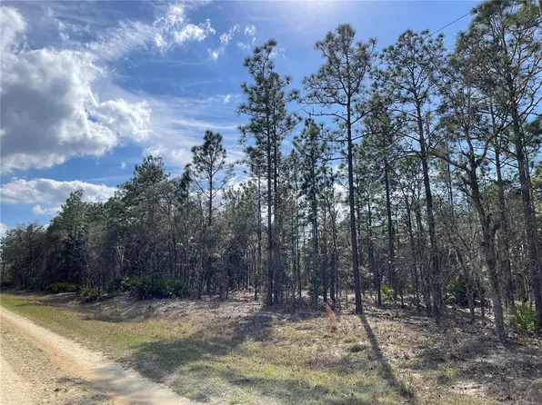 0 SW 135th Ave #10, Dunnellon, FL 34432