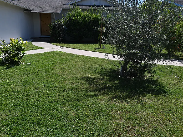9392 Westminster Blvd — Photo 21