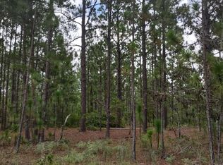 0 James Stubbs Rd, Mauk, GA 31058