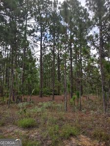 0 James Stubbs Rd, Mauk, GA, 31058