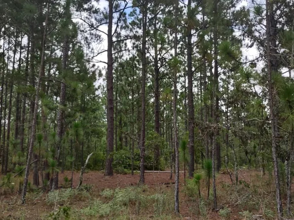 0 James Stubbs Rd, Mauk, GA 31058