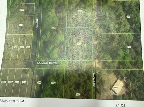 12 Avenue, Bitely, MI 49309