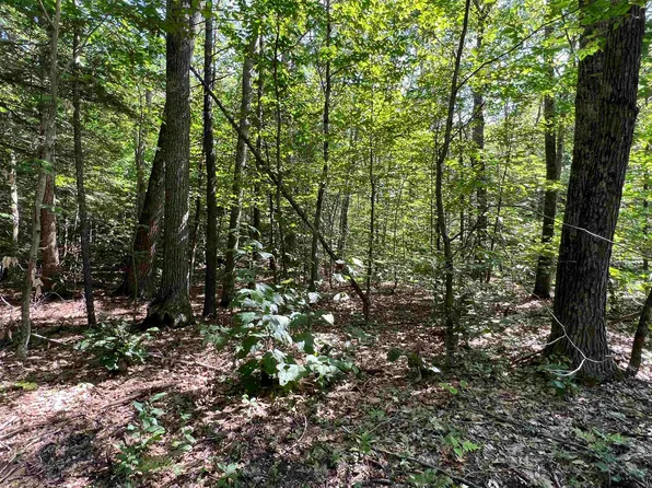 Lot 167 Deer Meadow Road #167, Webster, NH 03303