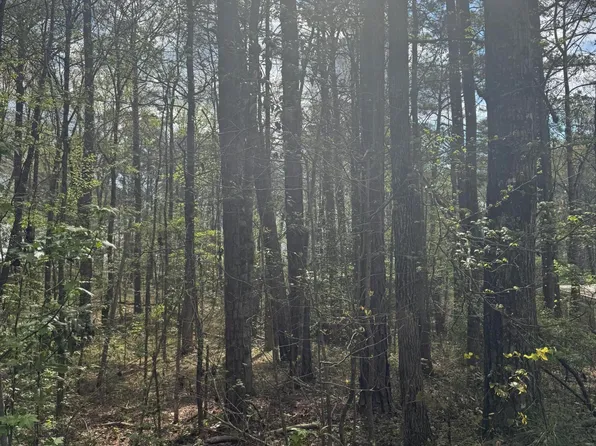 Lower Bottom Rd, Alexander City, AL 35010