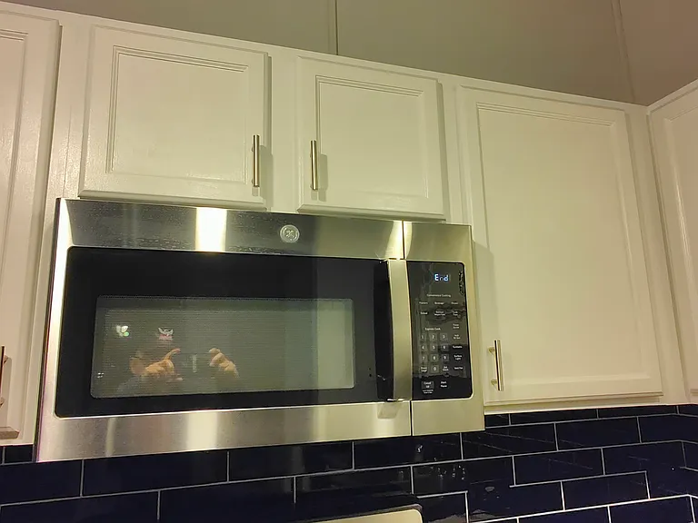 1550 S Blue Island Ave #717 — Photo 15