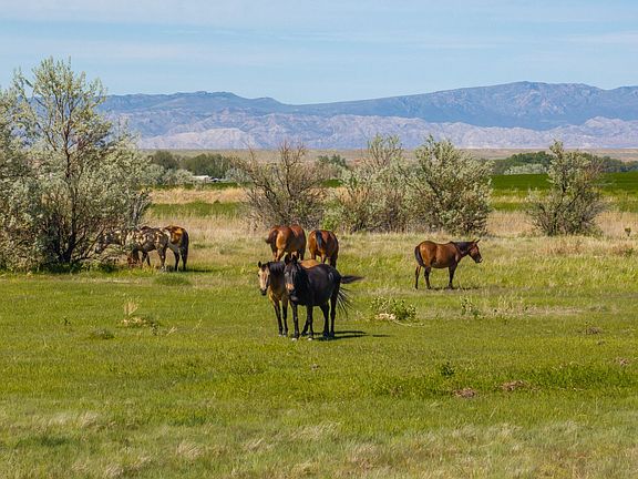 4th image of 17 Morgan Rd