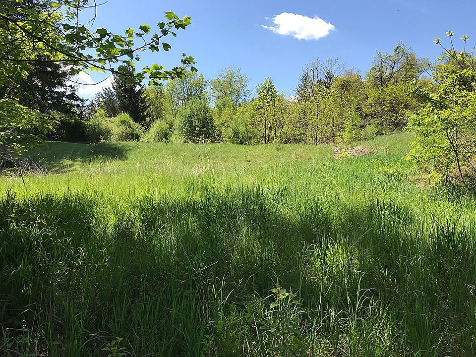 Lot 2 looking toward lot 1