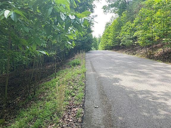 3rd image of 11 Brumby Run
