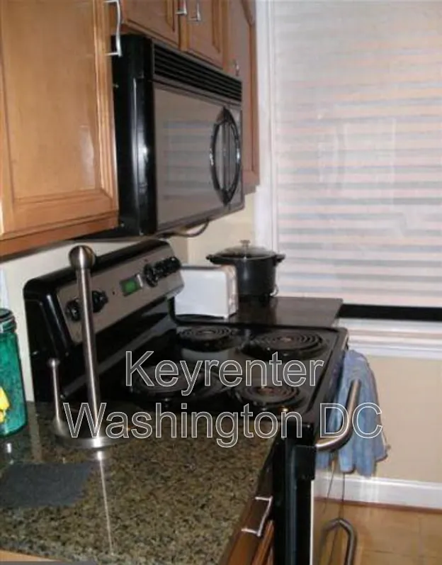 2 bed, 1.0 bath, 641 sqft, $1,550 — Photo 3