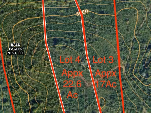 0 State Highway 36 W Lot 4, Woodland, GA 31836