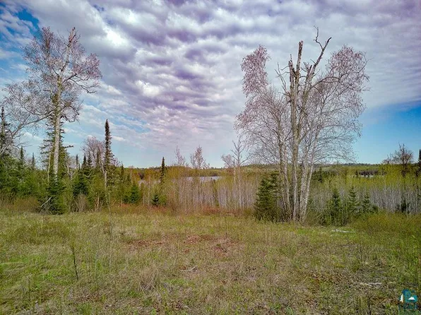 21 Pine Tree Dr, Lutsen, MN 55612