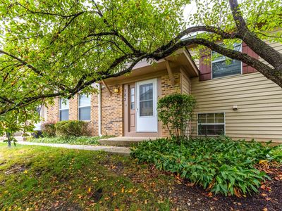 382 Birchwood Ct, Vernon Hills, IL, 60061