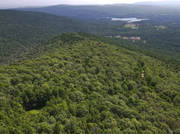 Buffalo Mountain Rd, Talihina, OK 74571