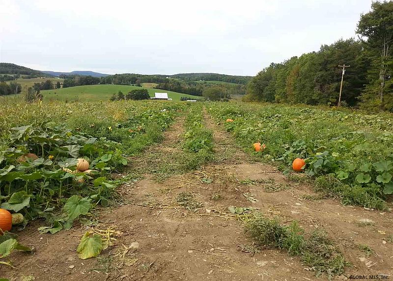 4th image of RHINEBECK Road