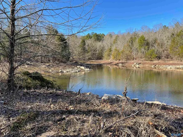 LOT 440 Four County Rd #5-545, Moulton, AL 35650