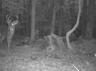 11071 N Brooks Rd, Irons, MI 49644