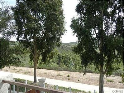 View from inside the back yard.