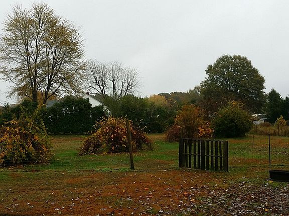 fenced backyard