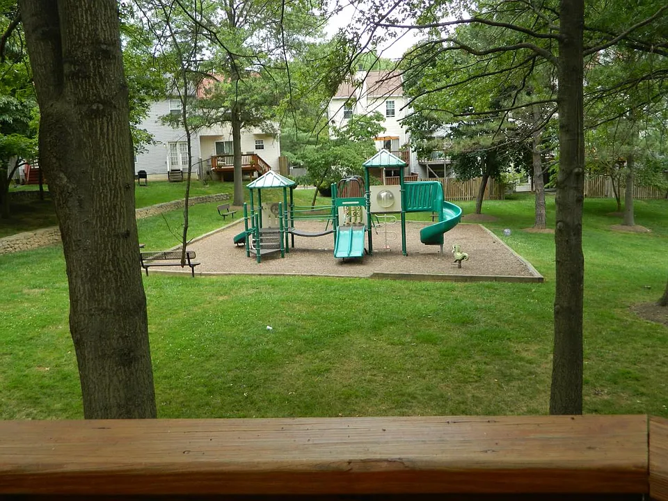 View From Deck