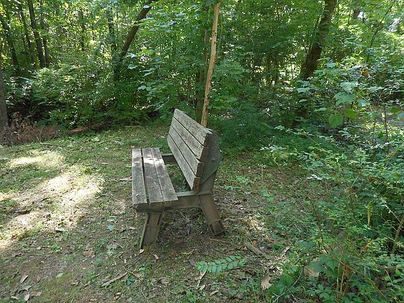 Bench by creek outback.