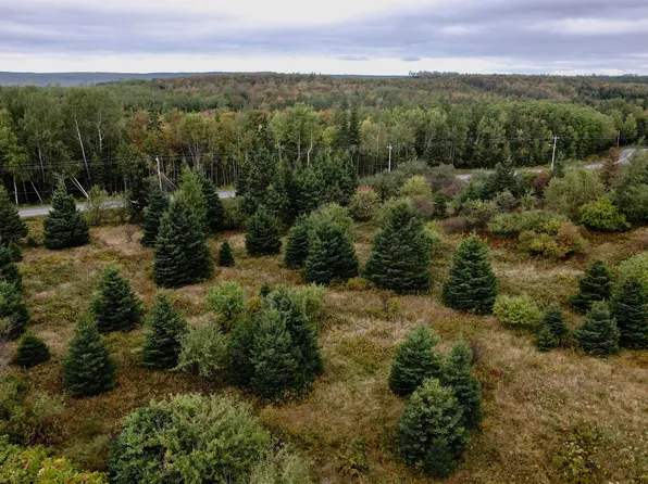 Beechmont Rd #8LOTS-80ACRES, Cape Breton, NS B2A 4K8