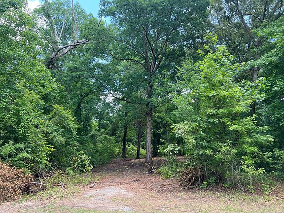 3rd image of 1545 Pine Cone Dr