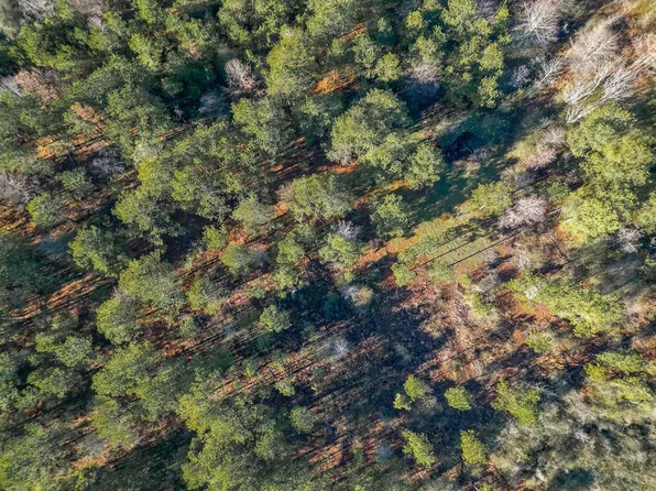 1550 State Highway 41 S, Buena Vista, GA 31803