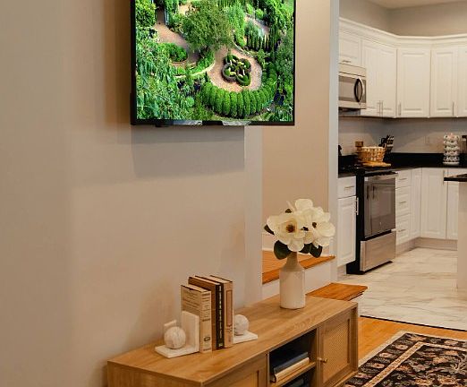 Living room - smart TV, console - shared.
