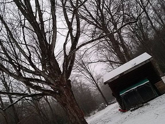 2nd image of 4020 State Route 212