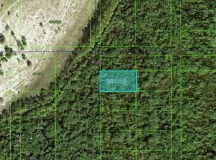 Commonwealth Ave N, Polk City, FL 33868