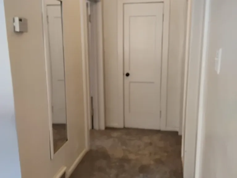 Hallway to Bath and Bedrooms