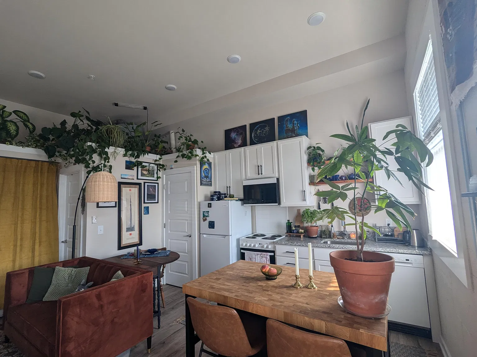 Studio, $995 — Photo 1