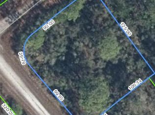 3124 Evershine Ave, Lake Placid, FL 33852