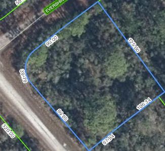 3124 Evershine Avenue, Lake Placid, FL, 33852