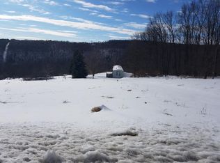 2991 Newtown Rd, Odessa, NY 14869