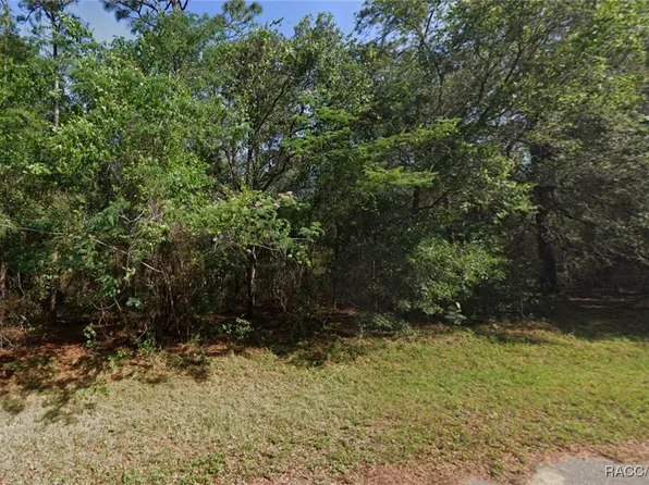 715 W Pitler Pl, Citrus Springs, FL 34434