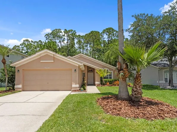 16037 Shinnecock Dr, Odessa, FL 33556