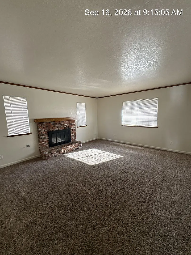 3125 — Photo 3